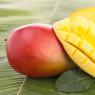 Манго фрукт — полезные свойства и вред для организма